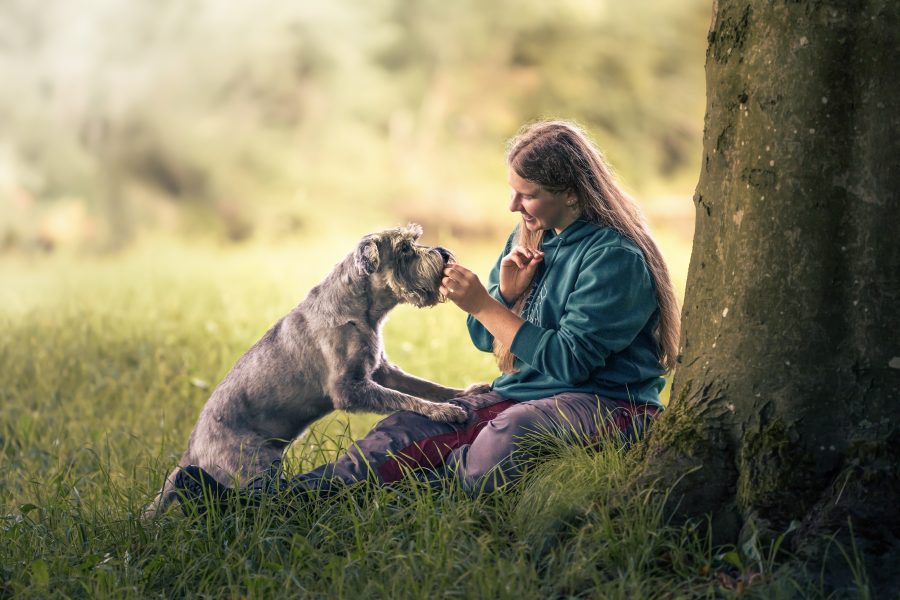 hund-fotografie-augsburg-münchen-ingolstadt Hund und Halterin sitzen unter einem Baum und sind sich zugewandt