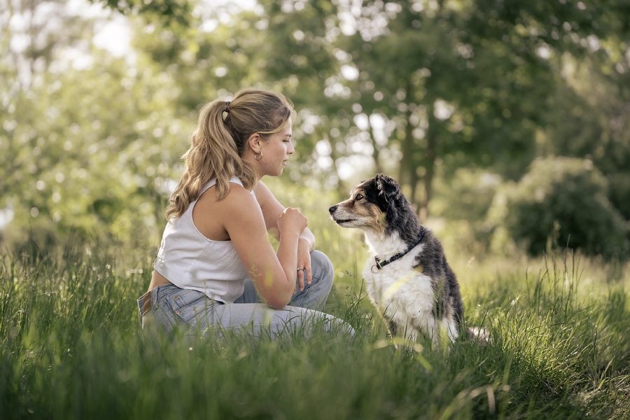 Autralian Shepherd Portrait mit Halter