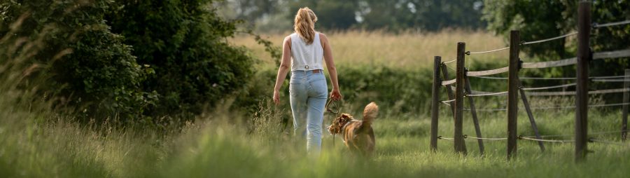 zusammen draußen, junge Frau läuft mit jungem Hund durch sommerliche Landschaft