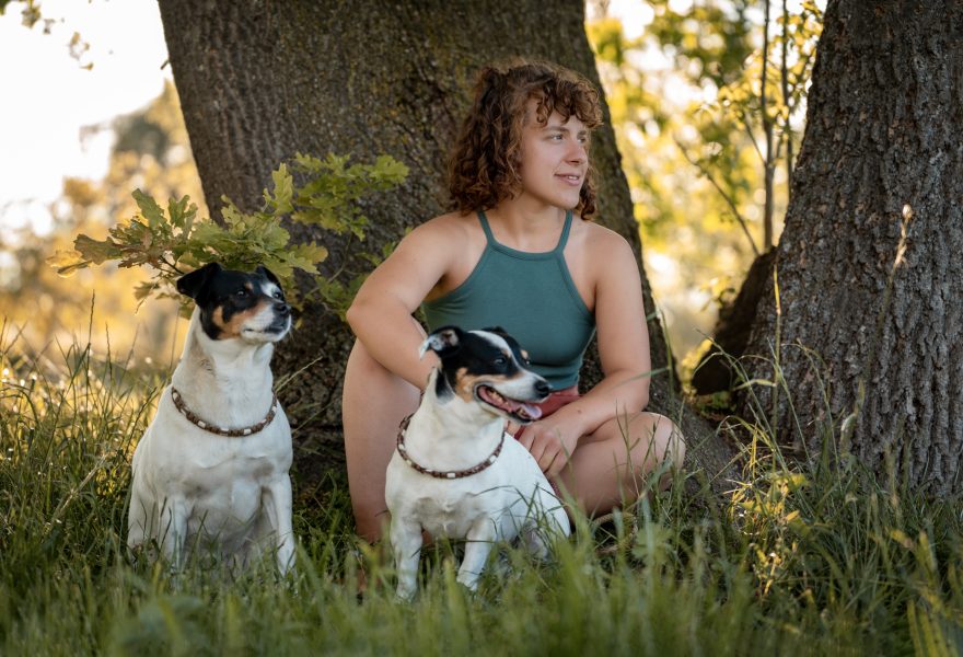 Zwei kleine Hunde mit junger Frau unter einem Baum sitzend